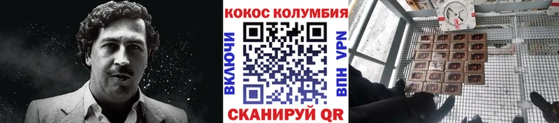 КОКАИН Fish Scale  Тында 